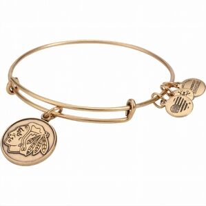 NWT Alex and Ani Gold Chicago Blackhawks Bracelet